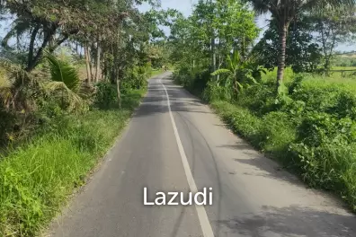 Perfect Beachfront Land in Gianyar Bali