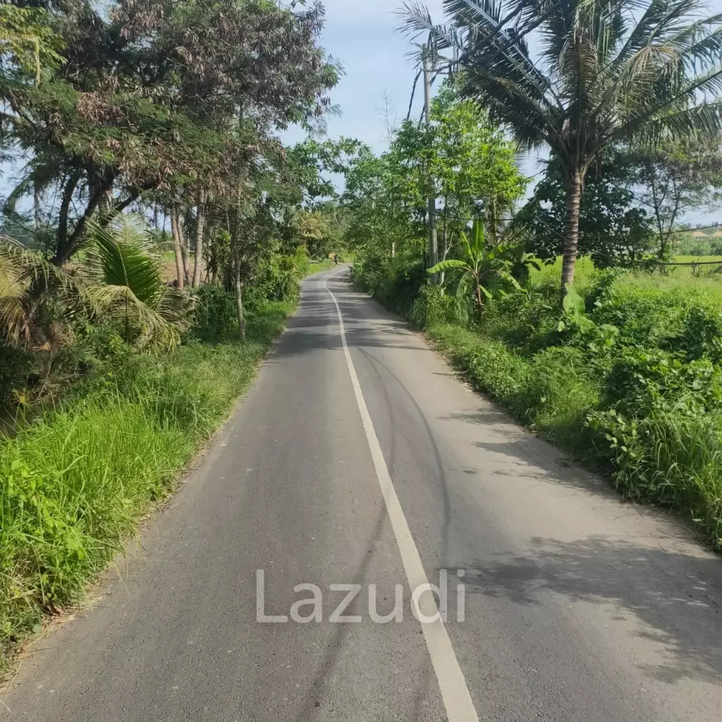 Perfect Beachfront Land in Gianyar Bali