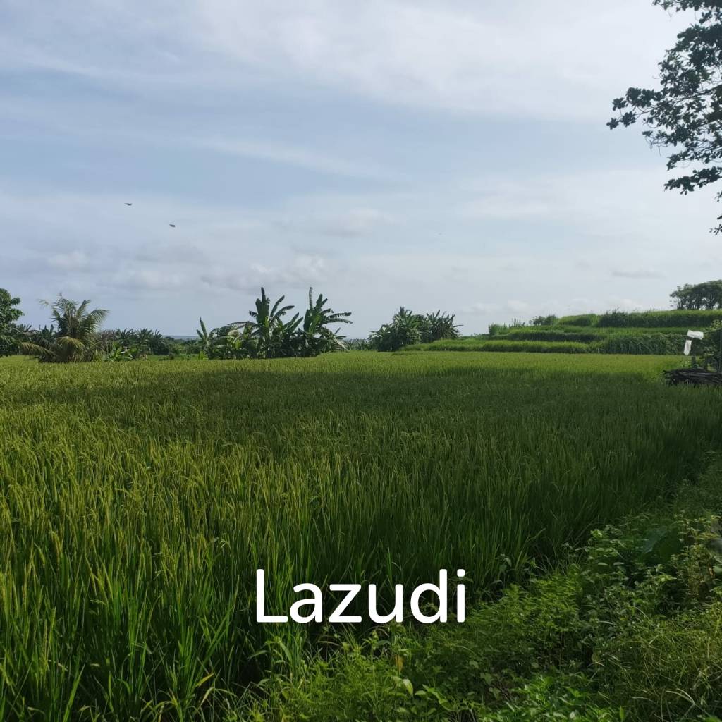 Perfect Beachfront Land in Gianyar Bali