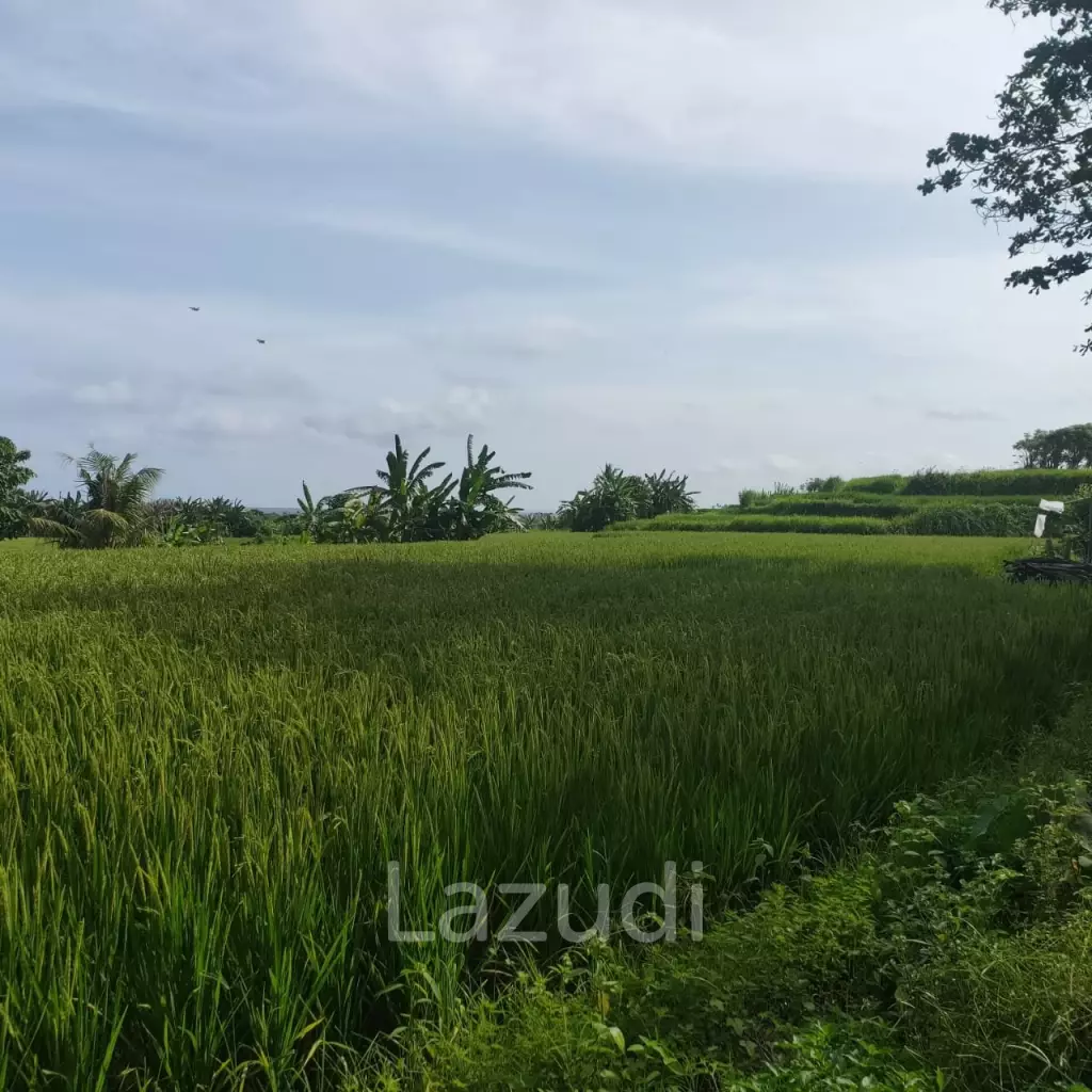 Perfect Beachfront Land in Gianyar Bali