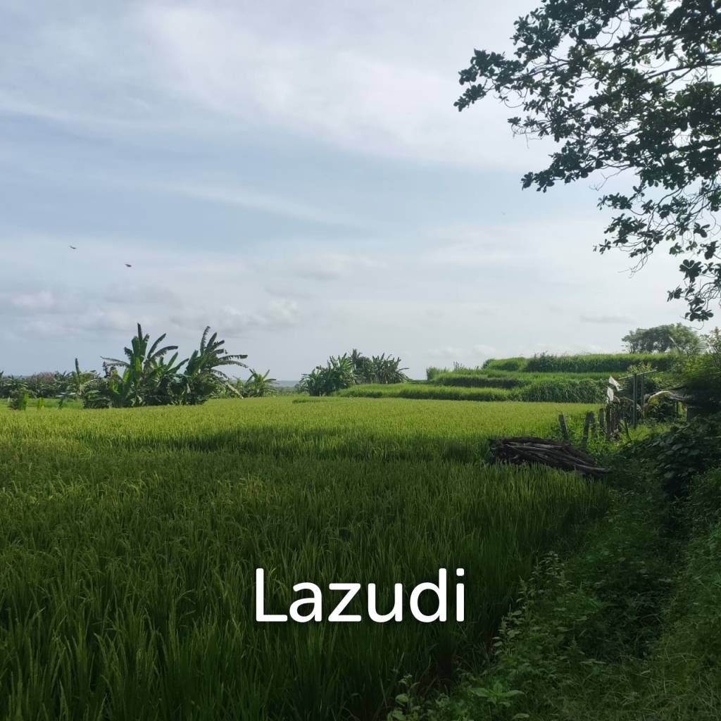 Perfect Beachfront Land in Gianyar Bali