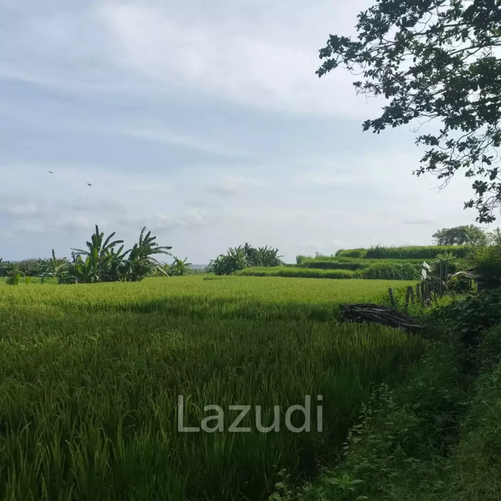 Perfect Beachfront Land in Gianyar Bali