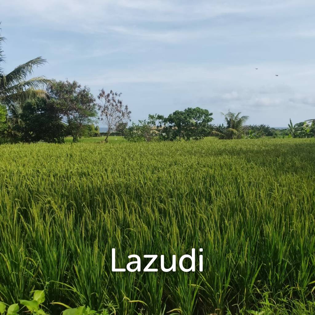 Perfect Beachfront Land in Gianyar Bali