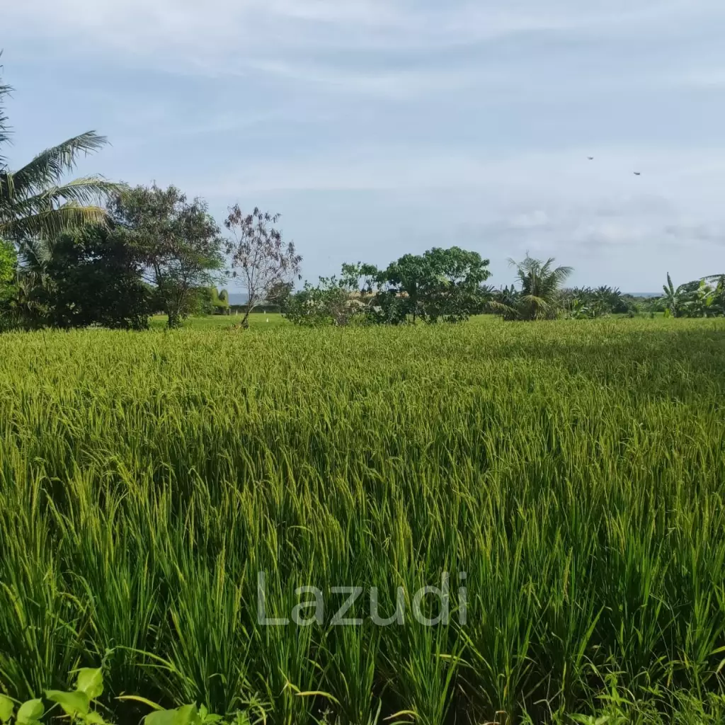 Perfect Beachfront Land in Gianyar Bali