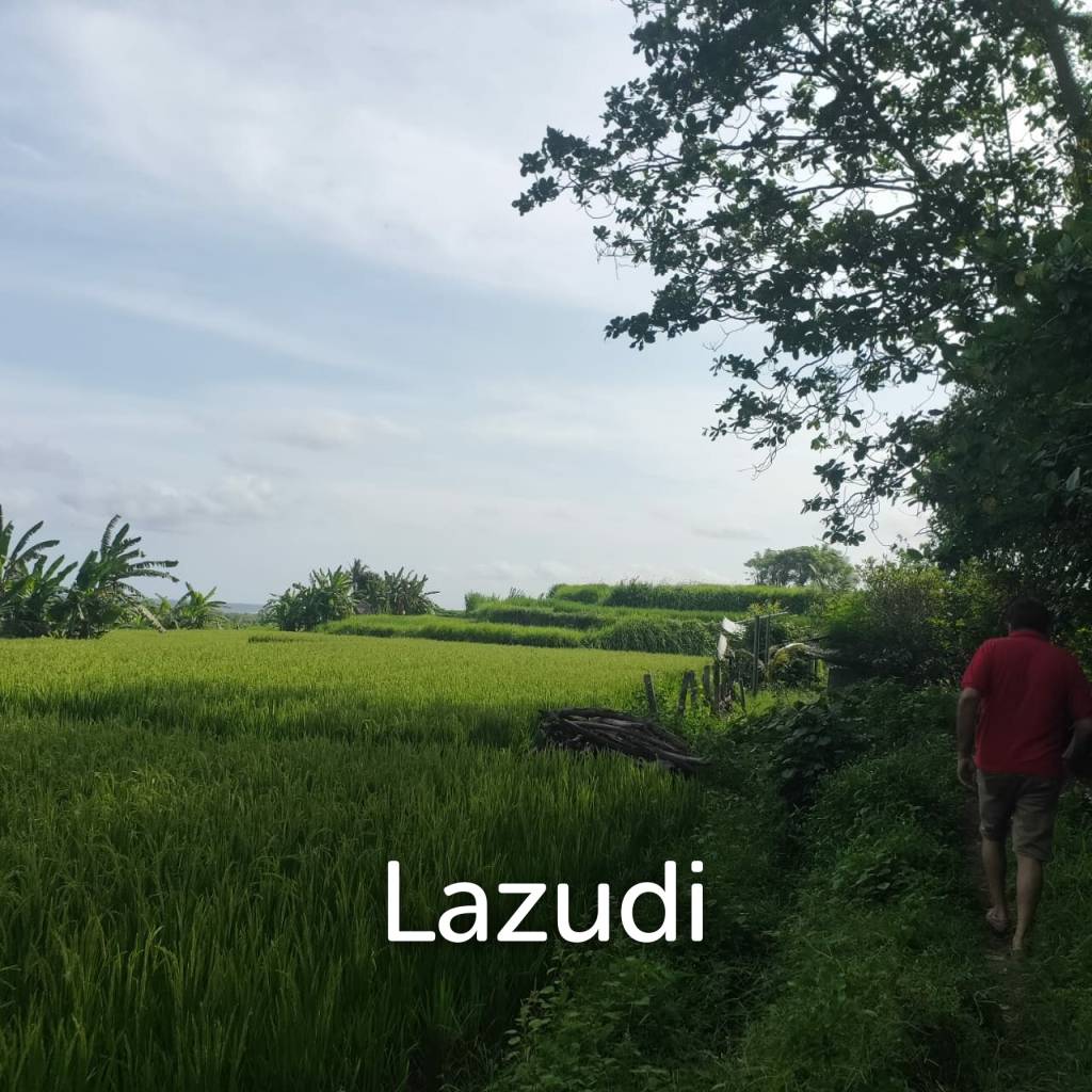 Perfect Beachfront Land in Gianyar Bali