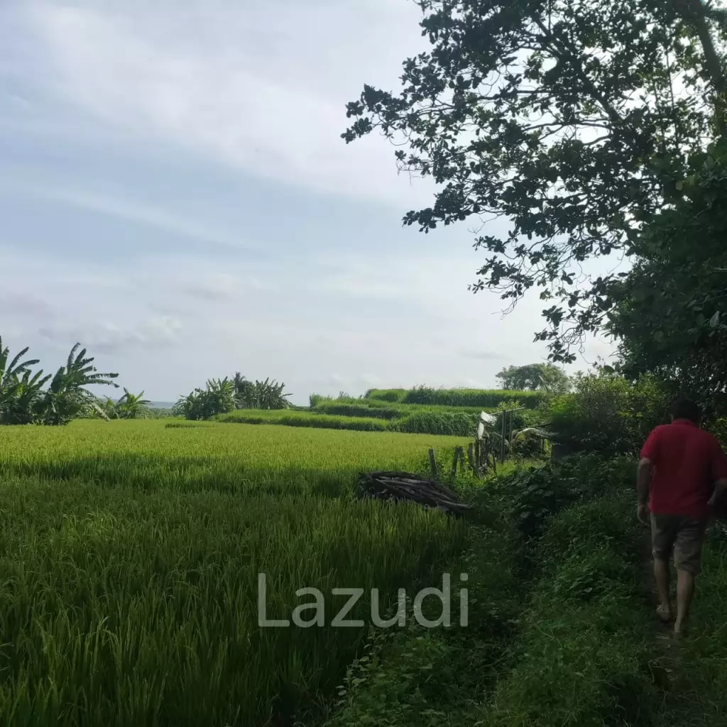Perfect Beachfront Land in Gianyar Bali
