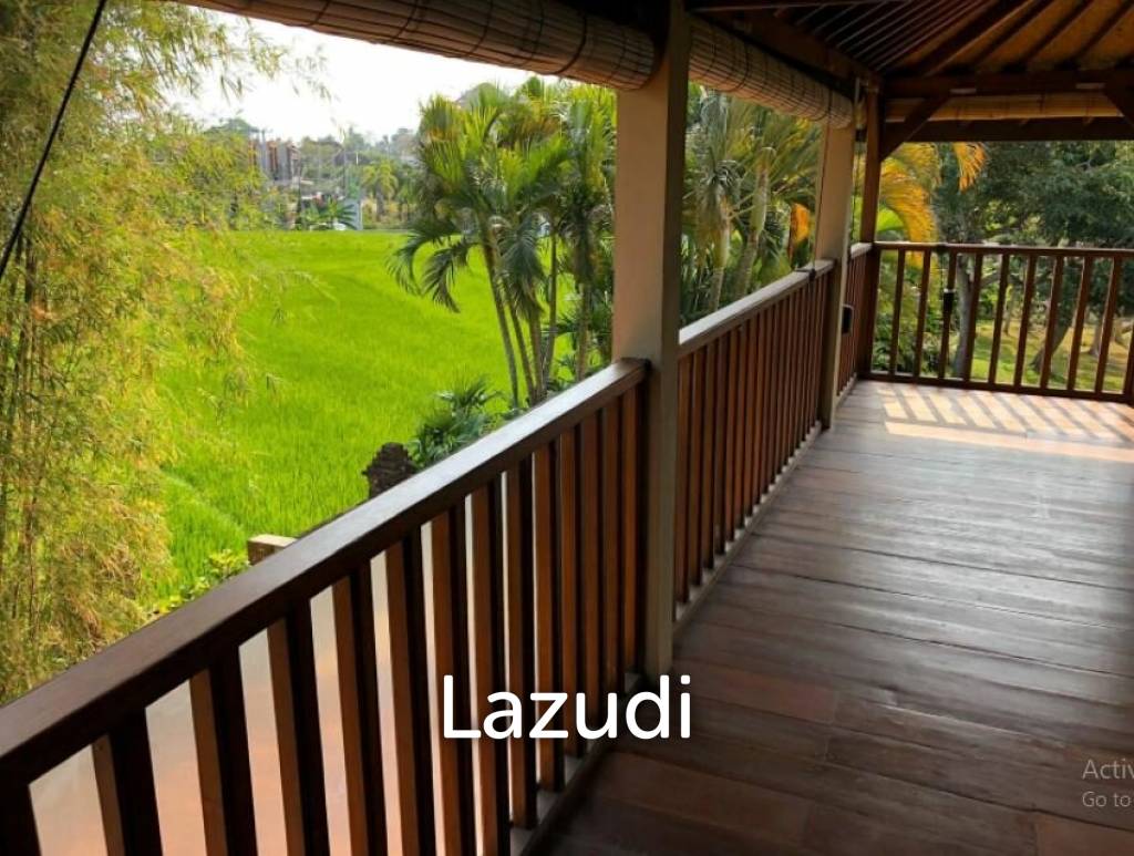 Investasi hak milik villa 3 kamar dengan pemandangan sawah di Berawa BALI