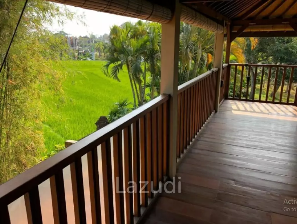 Investasi hak milik villa 3 kamar dengan pemandangan sawah di Berawa BALI