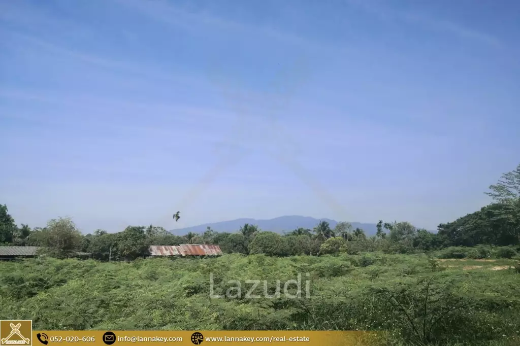 14 Rai Land Urgent Sale in Chiang Mai