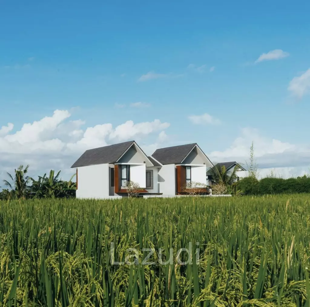 Beach Resort homes in Tabanan Bali