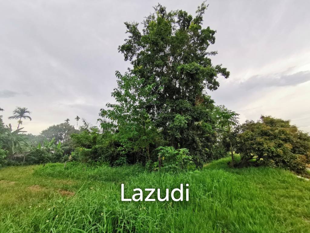 Freehold Agricultural Land in Mae Rim Chiang Mai