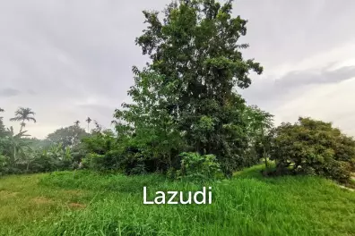 ขายที่ดินฟรีโฮลด์ วิวสวยริมเนื้อ อำเภอแม่ริม จังหวัดเชียงใหม่
