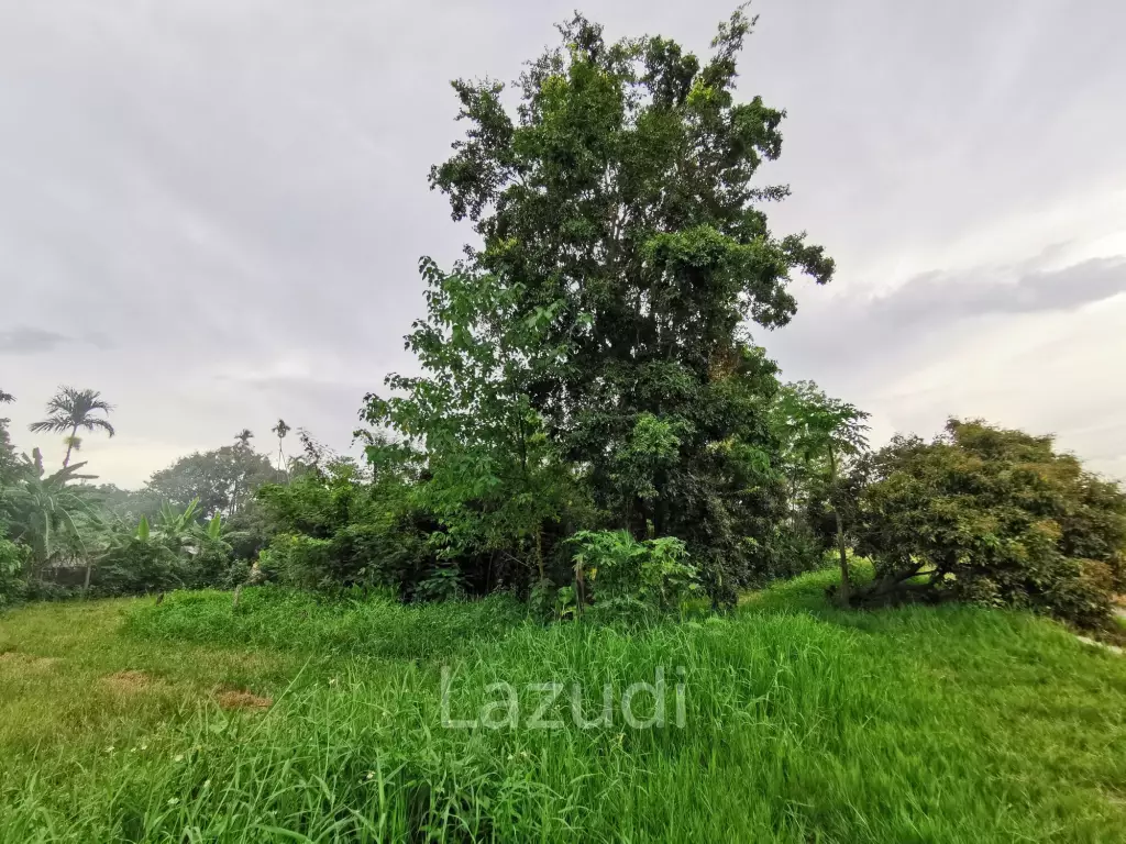 Freehold Agricultural Land in Mae Rim Chiang Mai