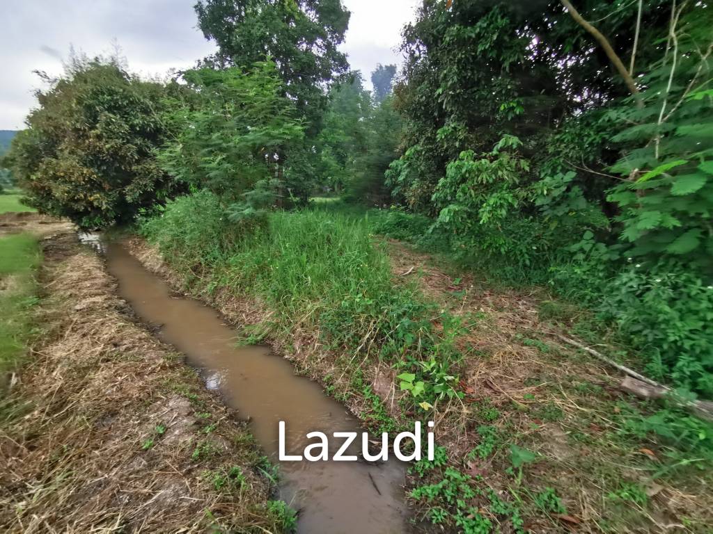 Freehold Agricultural Land in Mae Rim Chiang Mai