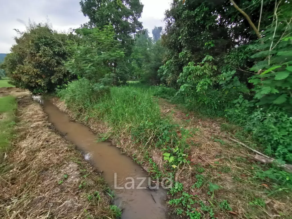 Freehold Agricultural Land in Mae Rim Chiang Mai