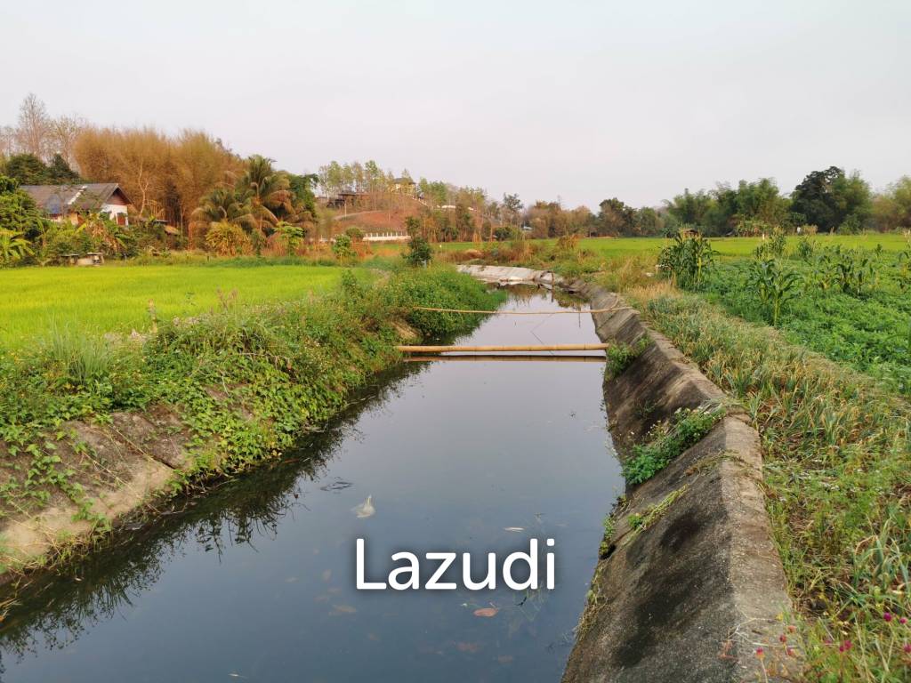 Freehold Agricultural Land in Mae Rim Chiang Mai