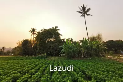 ขายที่ดินฟรีโฮลด์ วิวสวยริมเนื้อ อำเภอแม่ริม จังหวัดเชียงใหม่