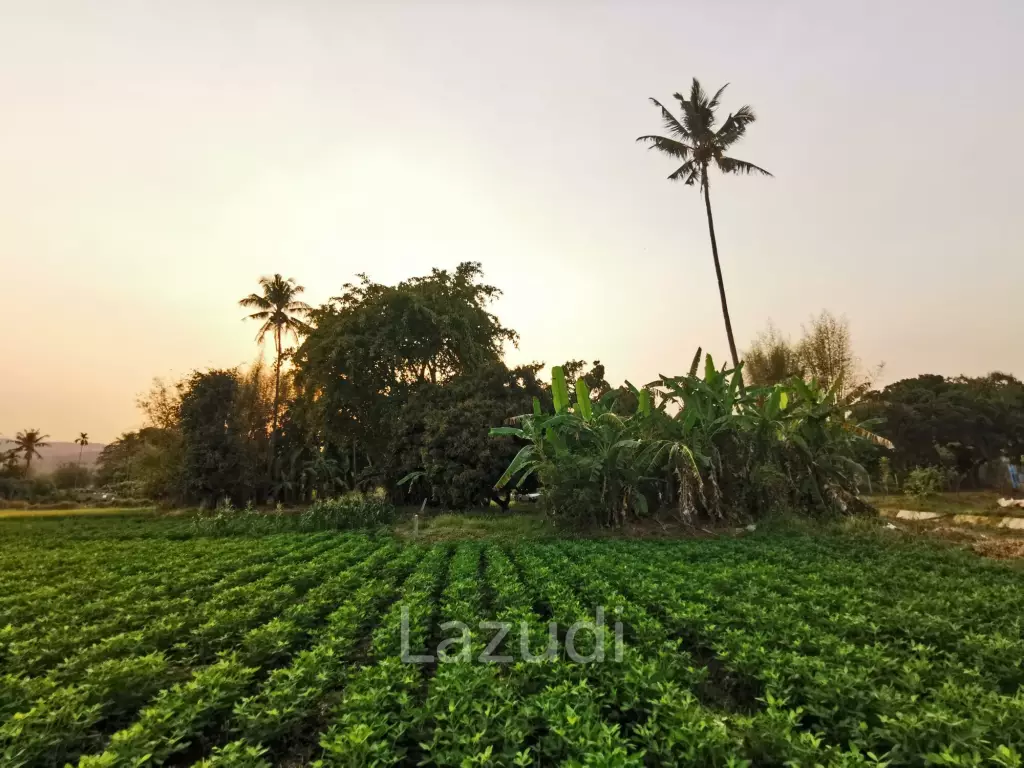 Freehold Agricultural Land in Mae Rim Chiang Mai