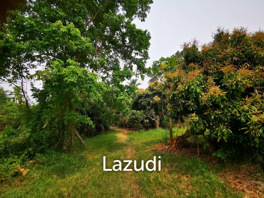 Freehold Agricultural Land in Mae Rim Chiang Mai
