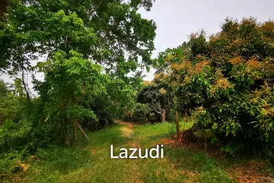 ขายที่ดินฟรีโฮลด์ วิวสวยริมเนื้อ อำเภอแม่ริม จังหวัดเชียงใหม่