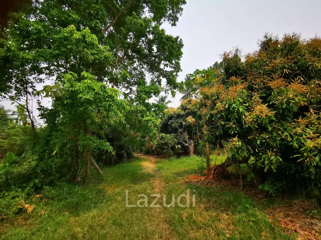 Freehold Agricultural Land in Mae Rim Chiang Mai