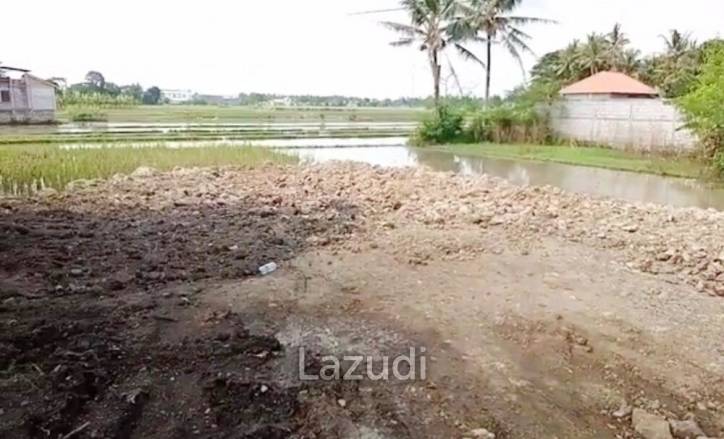 Tanah Dijual di Bantul Yogyakarta Dekat RS Rachma Husada, Desa Wisata Potrobayan, Taman Opak Zoo