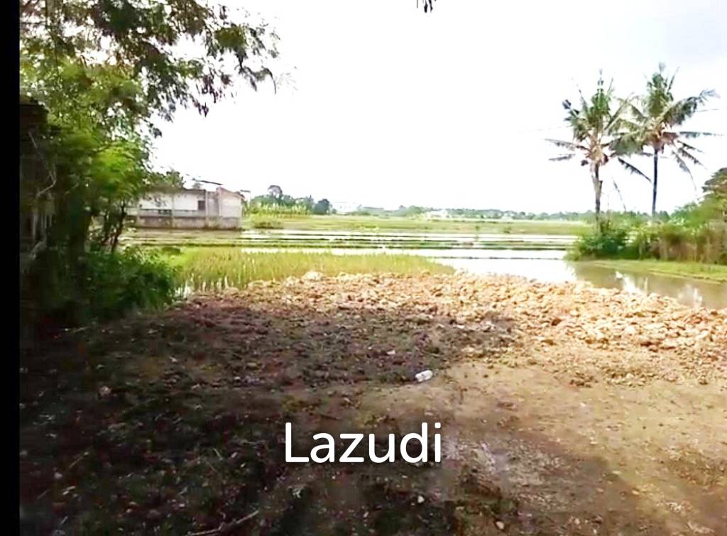 Tanah Dijual di Bantul Yogyakarta Dekat RS Rachma Husada, Desa Wisata Potrobayan, Taman Opak Zoo