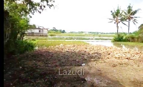 Tanah Dijual di Bantul Yogyakarta Dekat RS Rachma Husada, Desa Wisata Potrobayan, Taman Opak Zoo