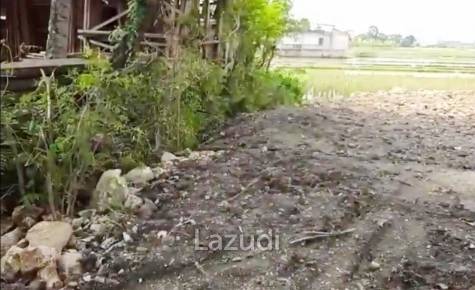 Tanah Dijual di Bantul Yogyakarta Dekat RS Rachma Husada, Desa Wisata Potrobayan, Taman Opak Zoo