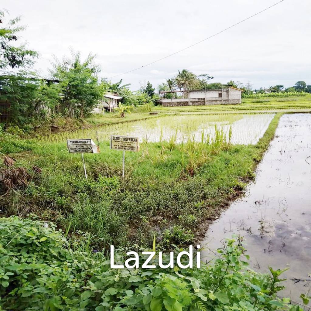 Tanah Dijual di Bantul Yogyakarta Dekat RS Rachma Husada, Desa Wisata Potrobayan, Taman Opak Zoo