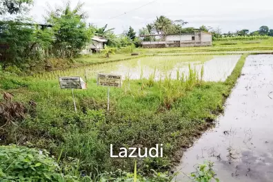 Tanah Dijual di Bantul Yogyakarta Dekat RS Rachma Husada, Desa Wisata Potrobayan, Taman Opak Zoo
