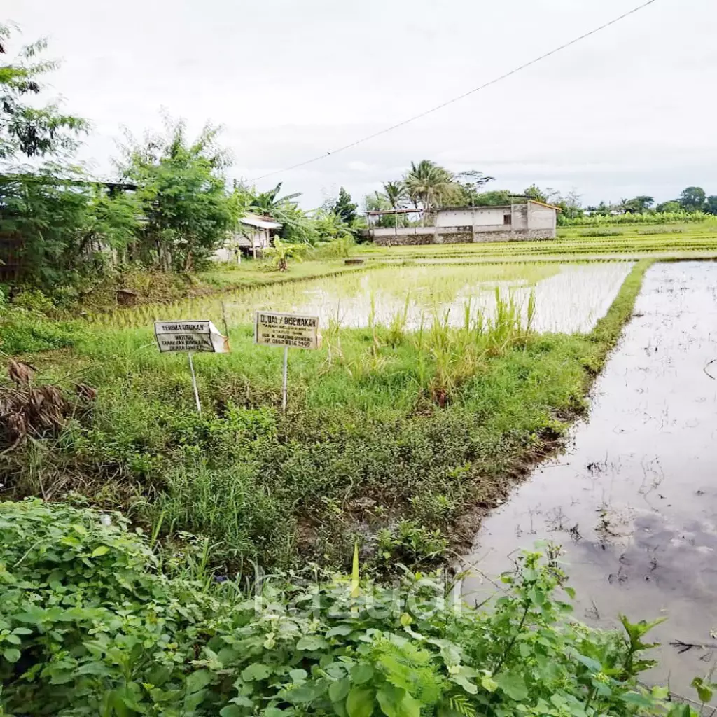 Tanah Dijual di Bantul Yogyakarta Dekat RS Rachma Husada, Desa Wisata Potrobayan, Taman Opak Zoo
