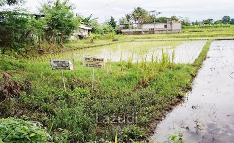 Tanah Dijual di Bantul Yogyakarta Dekat RS Rachma Husada, Desa Wisata Potrobayan, Taman Opak Zoo