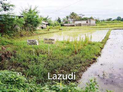 Tanah Dijual di Bantul Yogyakarta Dekat RS Rachma Husada, Desa Wisata Potrobayan, Taman Opak Zoo