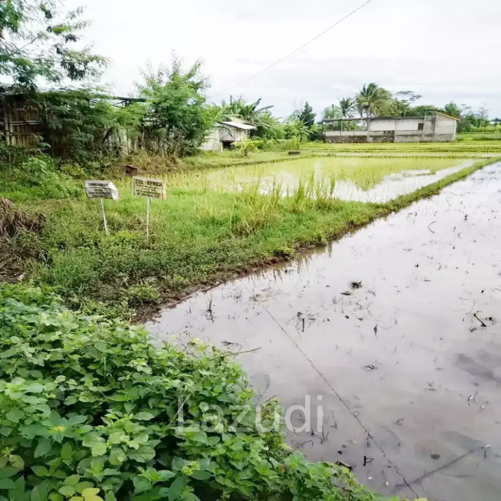 Tanah Dijual di Bantul Yogyakarta Dekat RS Rachma Husada, Desa Wisata Potrobayan, Taman Opak Zoo
