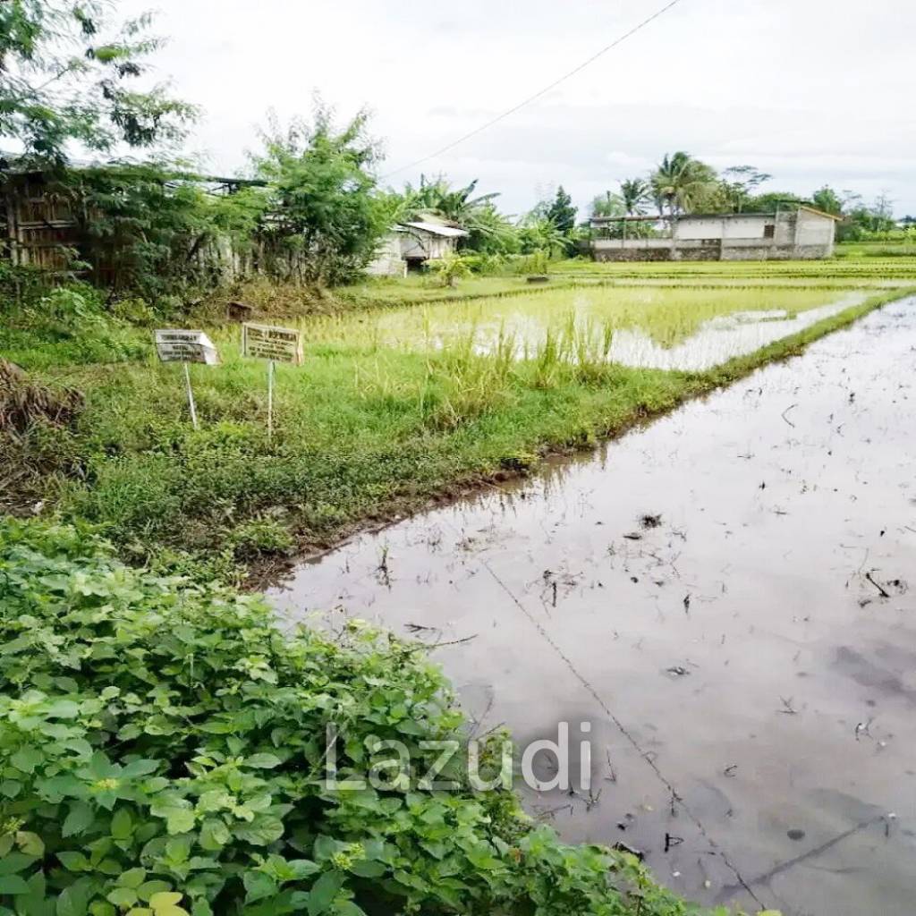 Tanah Dijual di Bantul Yogyakarta Dekat RS Rachma Husada, Desa Wisata Potrobayan, Taman Opak Zoo