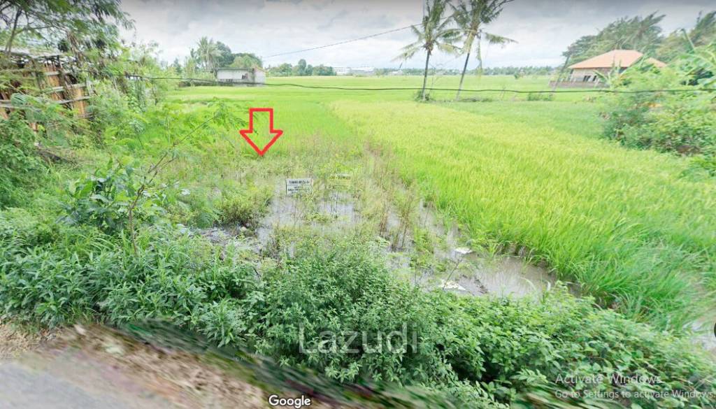 Tanah Dijual di Bantul Yogyakarta Dekat RS Rachma Husada, Desa Wisata Potrobayan, Taman Opak Zoo