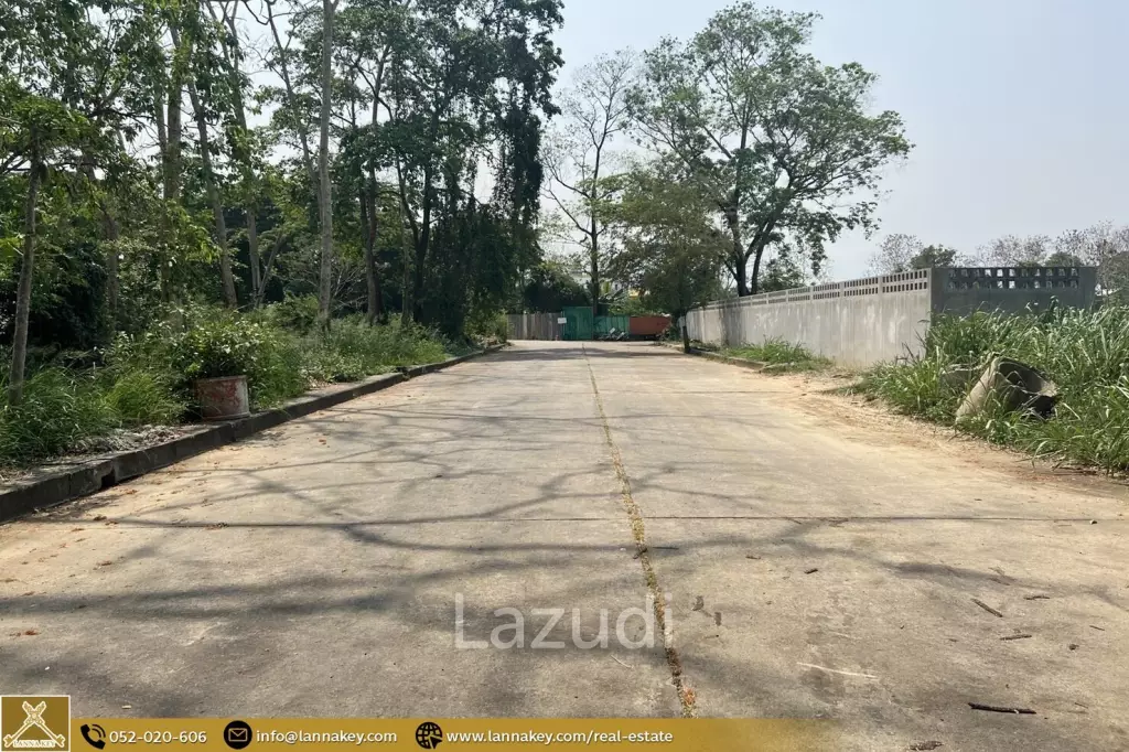 180 sq. wa Land For Sale, Tha Sala, Chiang Mai