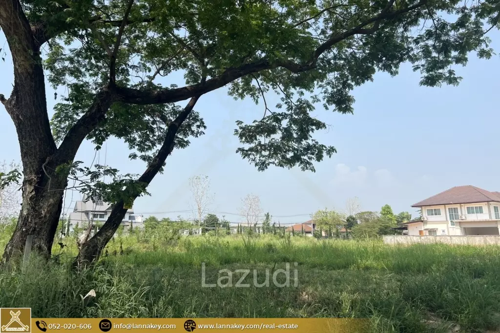 180 sq. wa Land For Sale, Tha Sala, Chiang Mai