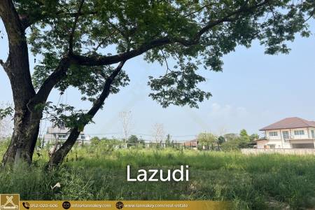 180 sq. wa Land For Sale, Tha Sala, Chiang Mai 180 sq. wa Land For Sale, Tha Sala, Chiang Mai