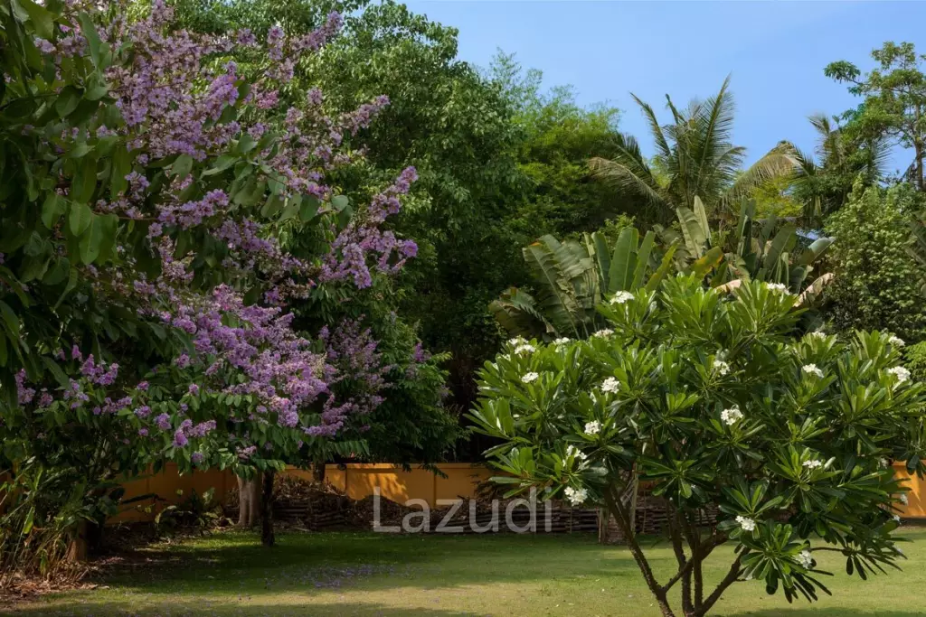 4 Bed 4 Bath 700 SQ.M Rim Nua Villa
