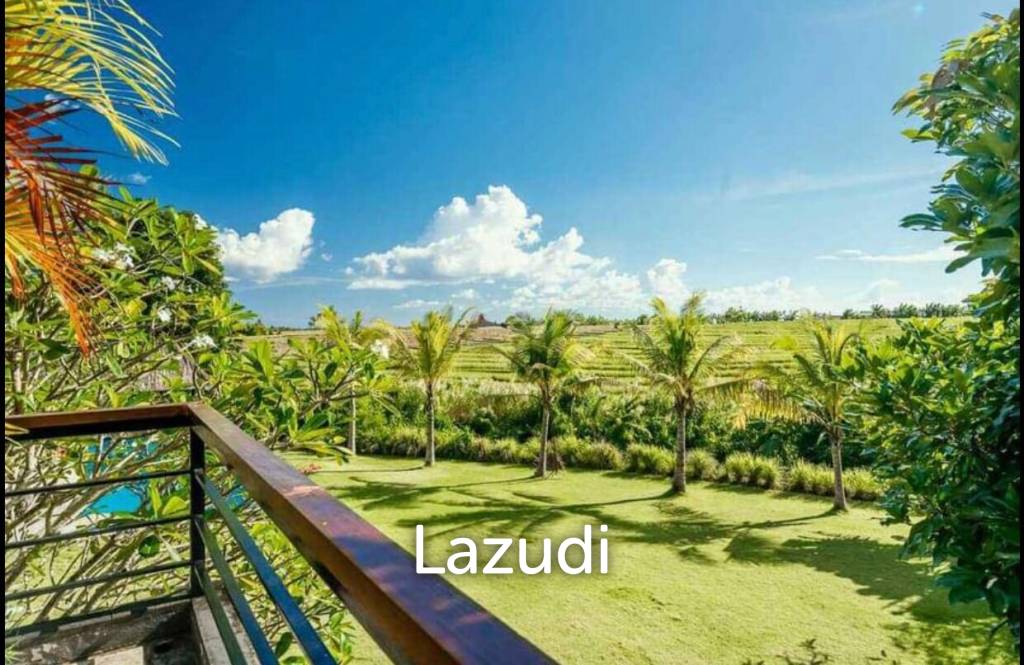 Fantastic Freehold investment 6 bedrooms fully furnished in Pererenan