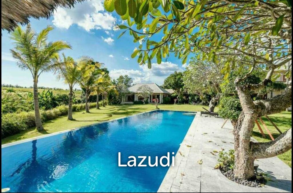 Fantastic Freehold investment 6 bedrooms fully furnished in Pererenan