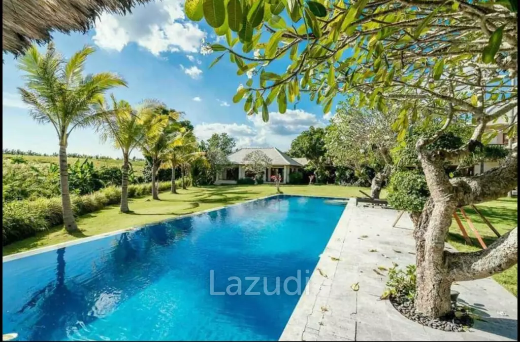 Fantastic Freehold investment 6 bedrooms fully furnished in Pererenan