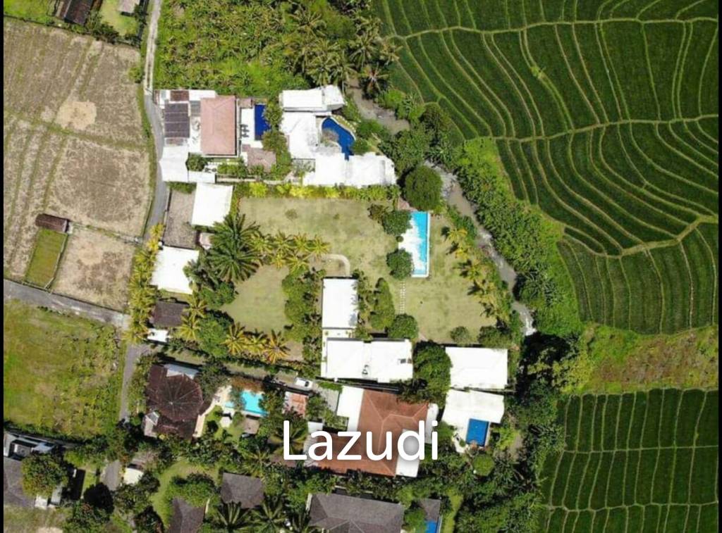 Fantastic Freehold investment 6 bedrooms fully furnished in Pererenan