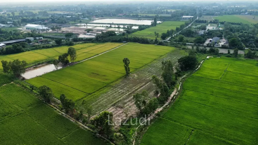 Land for sale in Sankampaeng (border of Buak Kang - Ban Thi)