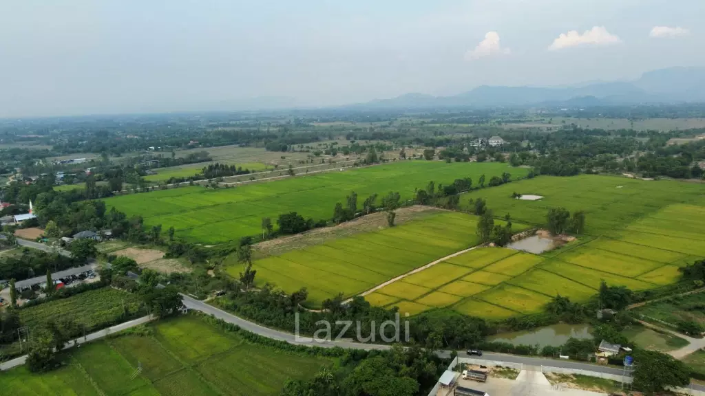 Land for sale in Sankampaeng (border of Buak Kang - Ban Thi)
