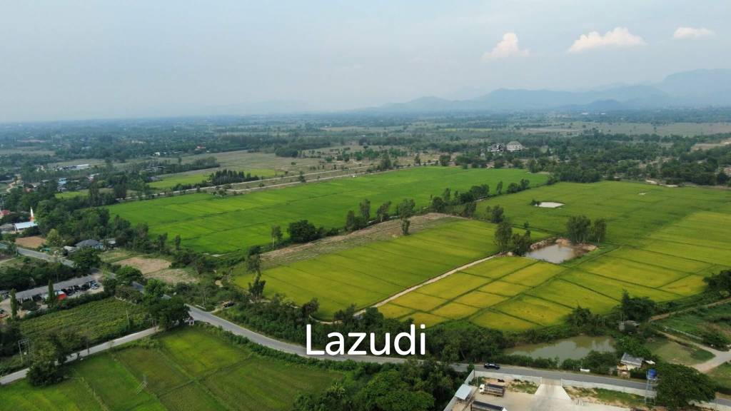 Land for sale in Sankampaeng (border of Buak Kang - Ban Thi)