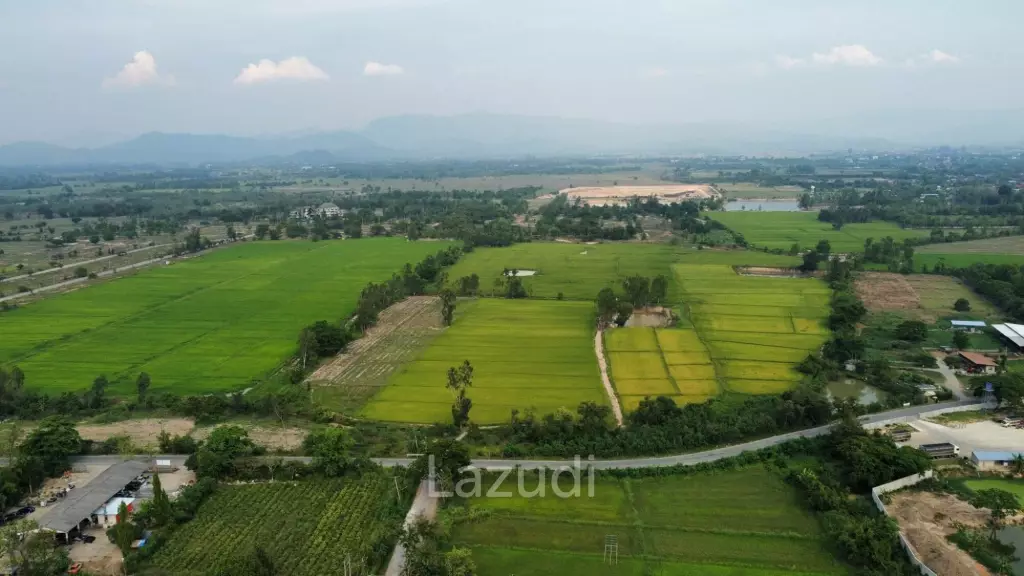 Land for sale in Sankampaeng (border of Buak Kang - Ban Thi)