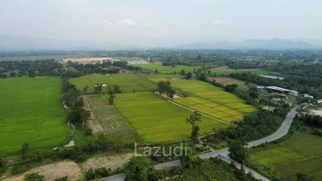 Land for sale in Sankampaeng (border of Buak Kang - Ban Thi)